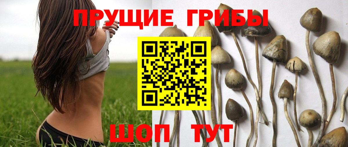 Псилоцибиновые грибы MAGIC MUSHROOMS Рубцовск